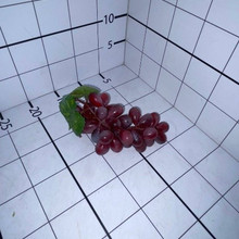 Виноград красный