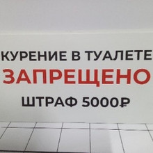 Курение в туалете запрещено 30*15см