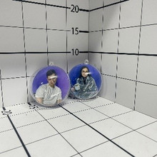 Шар прозрачный с фото внутри, 8см