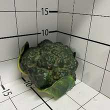 Брокколи