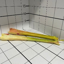 Сельдерей